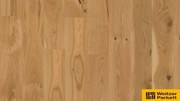 Weitzer Parkett Weitzer Plank 1800 drevená lakovaná podlaha oak rustic colorful 11mm 69 004
