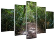 Obraz - Slnečné lúče v džungli (150x105 cm)