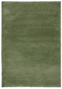 Flair Rugs, Kusový koberec Shaggy Teddy Olive, 200x290, zelená, obývacia izba