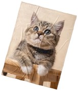 BedTex Detská deka Mačiatko Rolnička, 150 x 200 cm