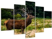 Obraz jeleňa (150x105 cm)