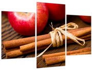 Obraz - Škorica (90x60 cm)