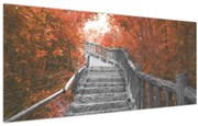 Obraz - Schody v prírode, oranžová (120x50 cm)
