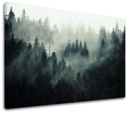 Obraz na stenu HORY_050-11 | rôzne rozmery