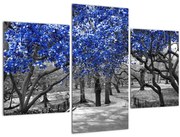 Obrázok - Modré stromy, Central Park, New York (90x60 cm)