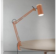 Orion - Stolná lampa so svorkou GILI 1xE27/40W/230V tehlová