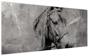Obraz - Portrét koňa (120x50 cm)