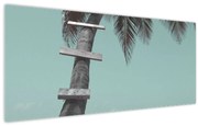 Obraz - Palma v Karibiku (120x50 cm)