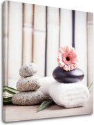 Obraz na plátne FENG SHUI_053-12