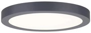 Paulmann 70988 - LED/22W Stropné svietidlo ABIA 230V antracit