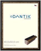 DANTIK rám na obraz 40x50 | TRITON černá (Sklo Čiré)