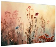 Obraz - Divoké kvety (90x60 cm)
