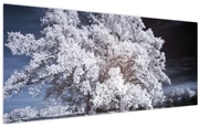 Obraz - Snehobiely strom (120x50 cm)