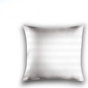 Obliečka na vankúš z mikrovlákna JASMINE 45x45 cm, biela