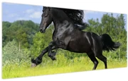 Obraz - Kôň s vzdušnou hrivou (120x50 cm)