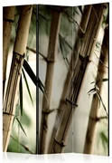 Artgeist Paraván - Fog and bamboo forest [Room Dividers]