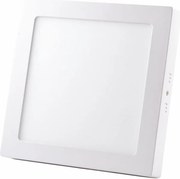 LED Stropné svietidlo LED/24W/230V 4000K