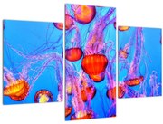 Obraz medúz v mori (90x60 cm)