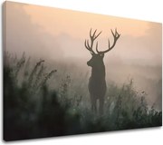 Obraz na stenu ZVIERATÁ_054-11