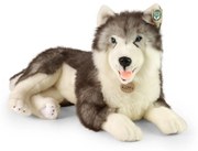 Rappa Plyšový pes husky ležiaci 60 cm