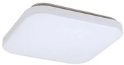 Rabalux 3340 - LED Stropné svietidlo ROB 1xLED/20W/230V
