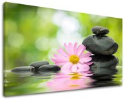 Obraz na stenu FENG SHUI | rôzne rozmery