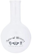 Sklenená váza (výška 23 cm) Natural History – Esschert Design