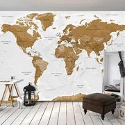 Fototapeta - World Map: White Oceans Veľkosť: 245x175, Verzia: Samolepiaca