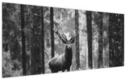 Obraz - Jeleň v lese 2, čiernobiela (120x50 cm)