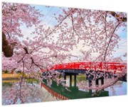 Obraz - Hirosaki, Japonsko (90x60 cm)