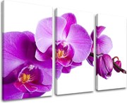 Obraz na stenu 3 dielny KVETY XOBKV135E30 - 120x80 cm