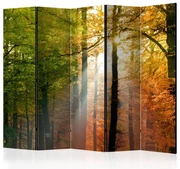 Artgeist Paraván - Forest Colours [Room Dividers]