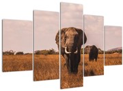 Obraz - Príchod slona (150x105 cm)