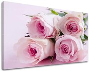 Obraz na stenu KVETY | rôzne rozmery