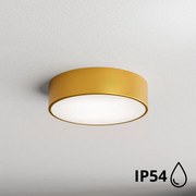 BRILAGI - Kúpeľňové stropné svietidlo CLARE 2xE27/24W/230V pr. 30 cm IP54 zlatá