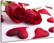 Obraz na stenu KVETY KV043E11 - 100x150 cm