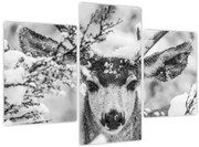 Obraz - Jeleň v zime (90x60 cm)