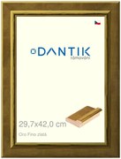 DANTIK rám na obraz 29,7x42 | Oro Fino zlatá (Plexi Čiré)