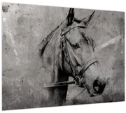 Obraz - Portrét koňa (70x50 cm)