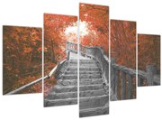 Obraz - Schody v prírode, oranžová (150x105 cm)