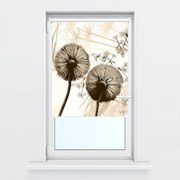 Fotoroleta R014964R57150 (57x150 cm)