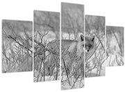 Obraz - Lišiak, čiernobiela (150x105 cm)
