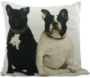 Bavlnený vankúš Francúzsky buldoček 50x50 cm - 50*10*50cm
