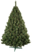 Nohel 91412 Vianočný stromček Borovica, 160 cm, 160 cm