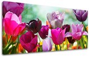 Obraz na stenu Panoráma KVETY | rôzne rozmery