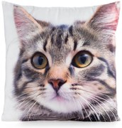 DETSKÁ DEKORAČNÁ OBLIEČKA NA VANKÚŠ ANIMAL71 45X45 CM VZOROVANÁ