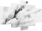 Obraz - Začiatok jari (150x105 cm)