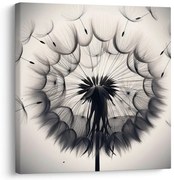 Obraz detailná púpava