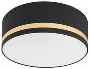 Stropné svietidlo SIRJA STRIPE 2xE27/15W/230V pr. 35 cm čierna