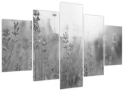 Obraz - Levanduľa (150x105 cm)